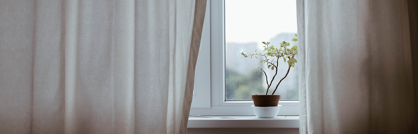 Zymphonies Free Banner Image